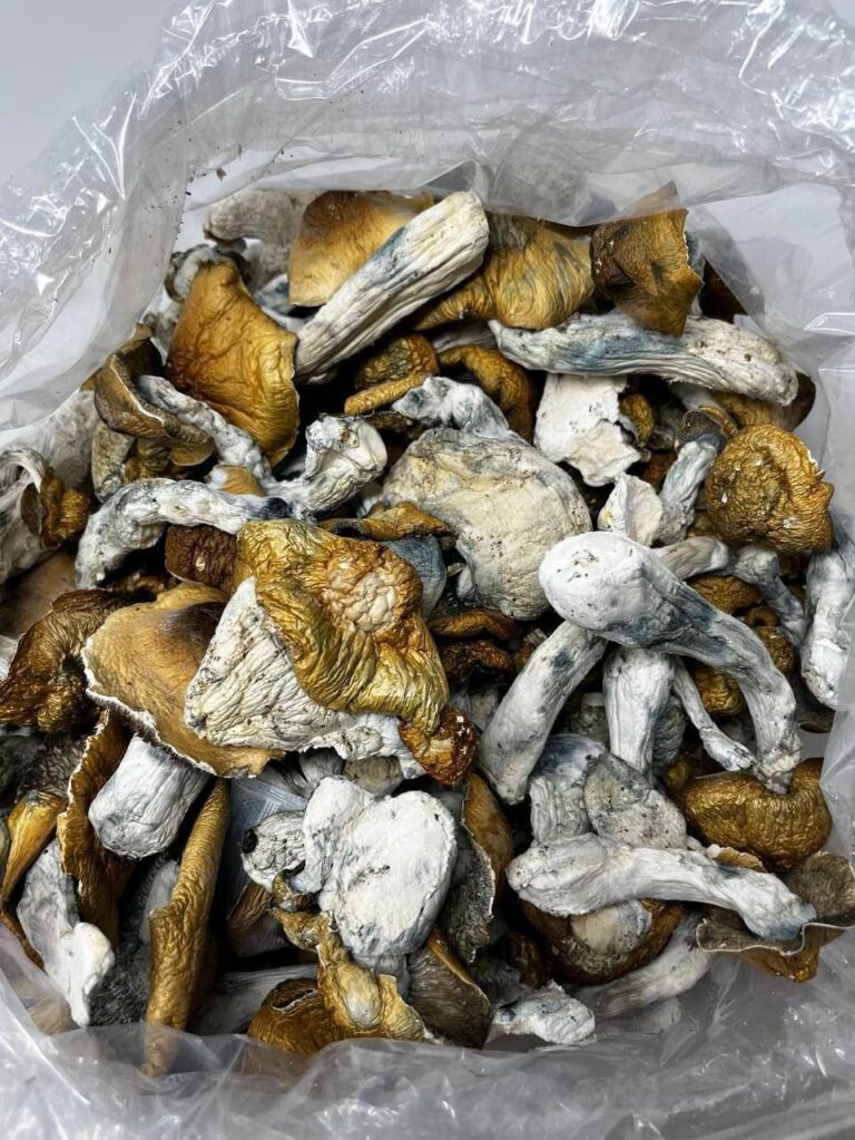 Current Research on Psilocybin and Mental Health Where can I Buy Dried magic Mushroom Online France