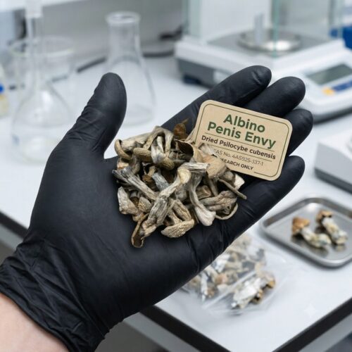 albino pe1 Where to Buy Albino Penis Envy Magic Mushroom Online Europe