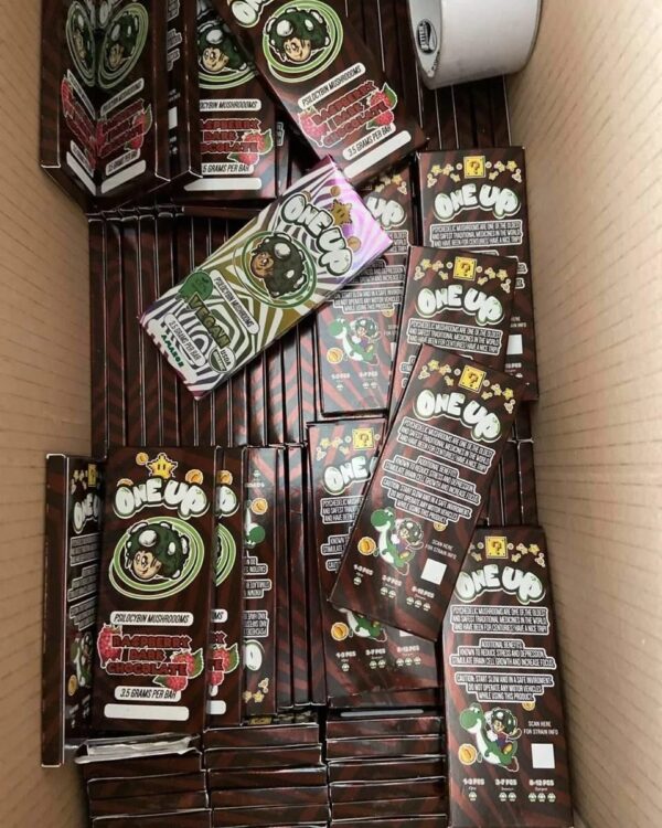 One Up Psilocybin Mushroom bar Europe