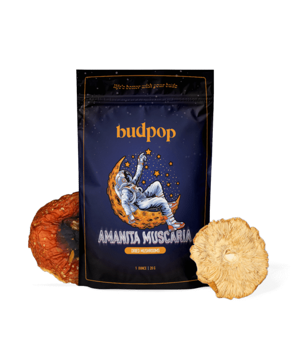 Can-You-Buy-BudPop-Amanita-Muscaria-Mushroom-Gummies-Online-Europe.png BudPop Amanita Muscaria Mushroom Gummies Online Europe