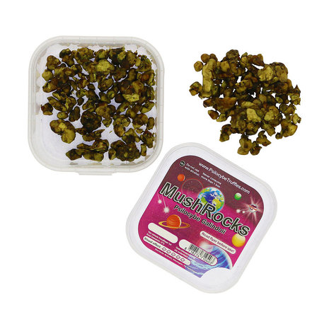 Where can I Order Psilocybe Galindoi Magic Truffles Online Europe