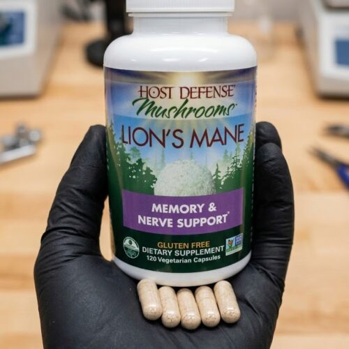Where do I Buy Lion's Mane Psilocybin capsules Online Europe?
