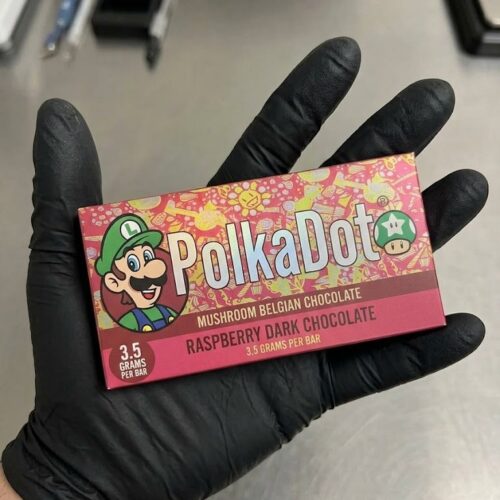Where can I Buy Polkadot Mushroom Chocolate Bars Online Europe