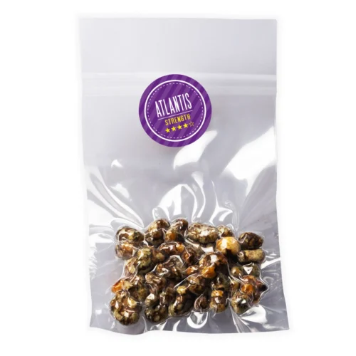 Where Can I Order Psilocybe Atlantis Magic Truffles Online Europe