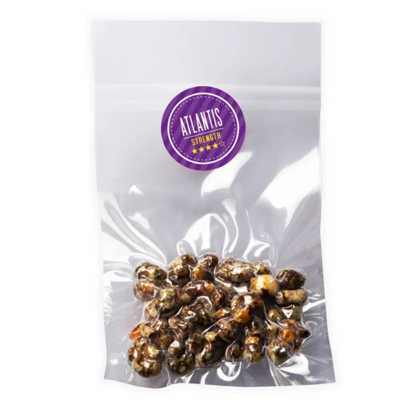 Psilocybe-Atlantis-Magic-Truffles-Online-Europe.webp Where Can I Order Psilocybe Atlantis Magic Truffles Online Europe