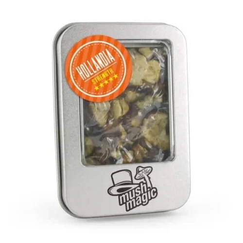 Where can I Order Psilocybe Hollandia Magic Truffles Online Europe? Where do I Order Psilocybe Hollandia Magic Truffles Online Europe. “Hollandia” is a trade/strain name you’ll see in European smart-shop listings and supplier catalogues. It’s a marketed sclerotium product (a variety of psilocybin truffle) produced commercially by growers who cultivate sclerotia of particular Psilocybe strains. Commercial product pages and catalogue entries describe Hollandia alongside other named truffle strains (e.g., Atlantis, Mexicana, Tampanensis), positioning it by potency and subjective character. Because Hollandia is primarily a commercial label rather than a single, clearly defined taxonomic species name in peer-reviewed mycology, descriptions and potency reports come largely from vendors and user reports rather than formal taxonomic literature The primary psychoactive substance present is psilocybin, a prodrug converted in the body to psilocin, which acts on serotonin receptors — notably the 5-HT2A receptor — producing the hallmark alterations in perception, cognition and mood. Neuroimaging and trial data on psilocybin show it can increase global brain connectivity temporarily and reduce activity in certain default-mode networks, which is thought to underlie the sense of ego-dissolution or expanded connectedness people describe at higher doses. Clinical and experimental work also suggests that careful controlled high-dose experiences can produce persistent positive changes in mood and outlook for some people, but they are not without risks Contents (Psilocybe Hollandia shop) 15 grams of Hollandia Magic Truffles. In vacuum sealed packaging. Storing and preserving Hollandia Magic Truffles. (Where to buy magic truffles online) Always store Magic Truffles in the fridge (2-4 °C) in closed (vacuum sealed) packaging. If stored in this way, you can keep the Truffles until the best before date. After breaking the vacuum seal, the Truffles can be preserved for up to 2 days without losing their potency. Effects of Hollandia Magic Truffles ( Psilocybe Hollandia Price) The active compounds in Magic Truffles are psilocin and psilocybin. Both compounds are easily absorbed in the human body and are responsible for the psychoactive effects of Magic Truffles. In low doses, eating Magic Truffles can induce giggly and stoned feelings. In this state, it is still easy to communicate and you are still aware of your environment. In higher doses, Magic Truffles transform reality and can cause hallucinations. Where do I Order Psilocybe Hollandia Magic Truffles Online Europe The first effects of Magic Truffles can be felt after 30 minutes (or sometimes even after 10 minutes) after consumption. These effects can include (but are not limited to) sweaty palms, sighing, cold shivers, a feeling of unrest and nausea. As the effects intensify, the trip moves towards euphoria and happiness, but feelings of anxiety can occur as well. Visions, hallucinations and deep connections to fellow psychonauts are possible effects. Psilocybe Hollandia Magic Truffles for sale Europe. After an hour, the effects of Psilocybe Hollandia Magic Truffles for sale Europeusually stop intensifying and become more stable. They generally last for about 3 to 5 hours, depending on the consumed amount. After this time, it takes about 1 to 2 hours for the effects to fade. This fading often occurs in waves, which may suggest the trip is ending, before the effects surge back again. For this reason, plan your trip well and make sure you have no other business to attend to on the day you will trip on Truffles. How can I Buy Psilocybe Hollandia Magic Truffles Online Europe? The first hour of your trip, you may experience feelings of nausea or sickness. This feeling usually passes as the effects of Magic Truffles intensify. Where can You Order Dragon's Dynamite Magic Truffles Online Europe What you will see and feel during a Magic Truffle trip greatly depends on your mindset and the setting of your trip. Your mental state in the days before your trip and the surroundings of the place where you trip directly influence your experiences. A busy and demanding week can result in a slightly anxious, stressful trip, but can also close the week with new insights and energy. In sum, only use Psilocybe Hollandia Magic Truffles for sale Europe if you feel mentally balanced and relaxed. Only take Magic Truffles in a familiar or quiet place, preferably with people you know and trust. There is nothing more frustrating than annoyance between people while you are tripping. Where Can You Purchase Psilocybe Hollandia Magic Truffles Online Europe? Dose of Hollandia Magic Truffles (Order psilocybe hollandia discreet shipping) The Hollandia Magic truffle is very strong. Only suitable for beginners in a low dose! For a microdose, take 0.2 - 0.5 grams of Magic Truffles per person. For a mild trip, take 5-7.5 grams of Magic Truffles per person. For a strong trip, take 10 grams of Magic Truffles per person. For an overwhelming trip, take 15 grams of Magic Truffles per person. Use of Magic Truffles ( Magic truffle shop europe) Eat Magic Truffles raw. For the best effects, take on an empty stomach. Make sure you eat your last meal a minimum of 2-4 hours before your trip. We recommend to abstain from caffeinated drinks. Where Can You Purchase Psilocybe Hollandia Magic Truffles Online Europe? Chew the Truffles well; it helps the body to absorb the psychoactive compounds and it helps against nausea. Don’t fancy the taste of Psilocybe Hollandia Magic Truffles for sale Europe? Eat the Truffles with a handful of nuts, some tea or in a soup to mask the flavour. Never boil the truffles, this affects their potency! How can I Buy Psilocybe Hollandia Magic Truffles Online Europe? Warning! ( Hollandia truffles worldwide shipping) Don’t combine with other drugs and/or alcohol. Don’t use in combination with medication and MAO inhibitors. Don’t use in cases of depression or sensitivity to psychosis. Don’t use when pregnant or breastfeeding. Don’t use if younger than 18 years of age. Trivia ( Best online Smartshop truffles) A truffle or sclerotium is a living product. It might be possible that air (especially CO²) is trapped inside the package. This will make the sclerotia continue to grow and white "hairs" will appear on the outside of the truffles. This is the mycelium and shows the truffles are healthy. This is edible and doesn’t affect the trip. Where do I Order Psilocybe Hollandia Magic Truffles Online Europe?