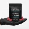 amanita elevate gum 1 Where to Buy Amanita Muscaria Mushroom Gummies Online