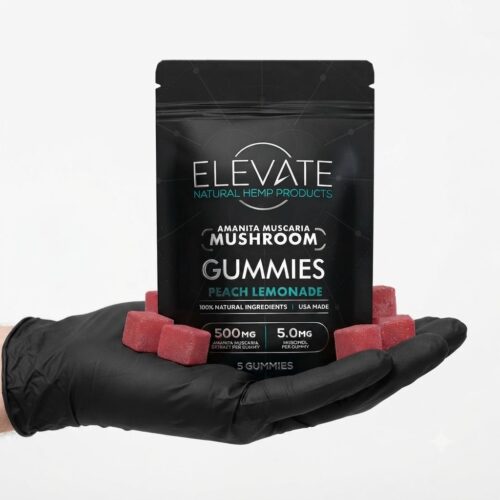 amanita elevate gum 1 Where to Buy Amanita Muscaria Mushroom Gummies Online
