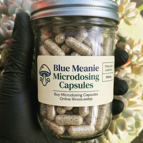 Where to buy Blue Meanies Psilocybin Mushrooms Capsules Online Europe