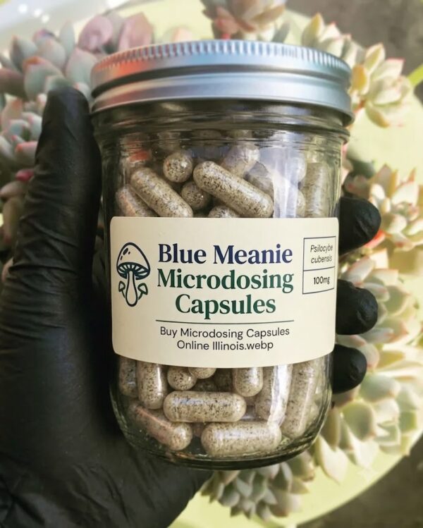 blue meanoe cap1 Where to buy Blue Meanies Psilocybin Mushrooms Capsules Online Europe