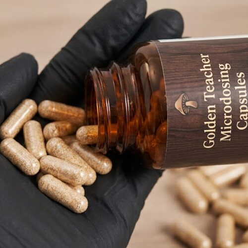 Where do I Buy Golden Teacher Mushrooms Capsules Online Europe?