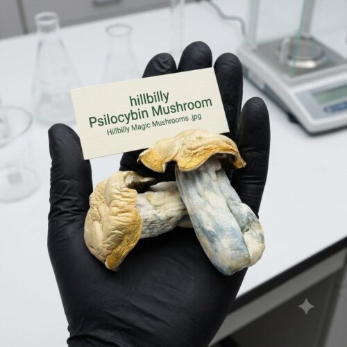Where to Buy Hillbilly Magic Mushrooms Online Europe
