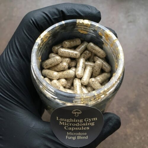 Where to buy Laughing Gym Mushroom Capsules Online Europe