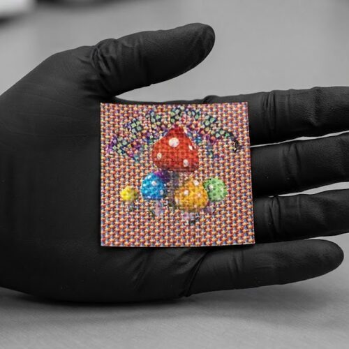Where do I Buy LSD Blotter Tabs Online Europe?