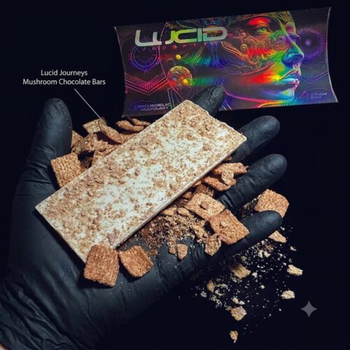 Where to Buy Lucid Journeys Mushroom Chocolate Bars Online Europe