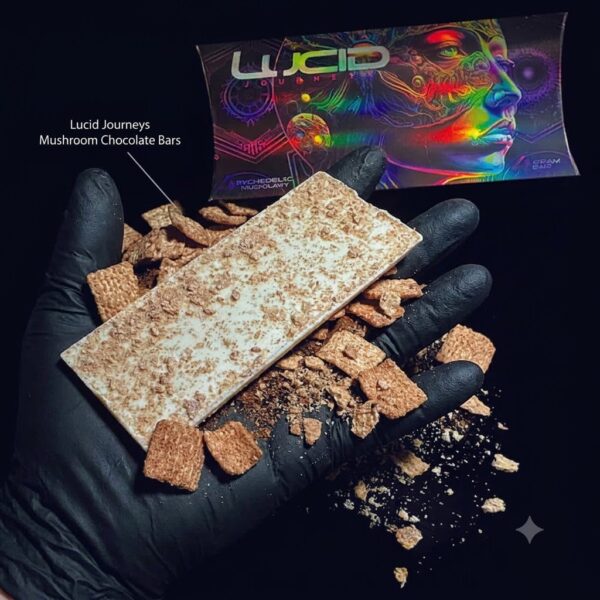 lucid journey1 Where to Buy Lucid Journeys Mushroom Chocolate Bars Online Europe