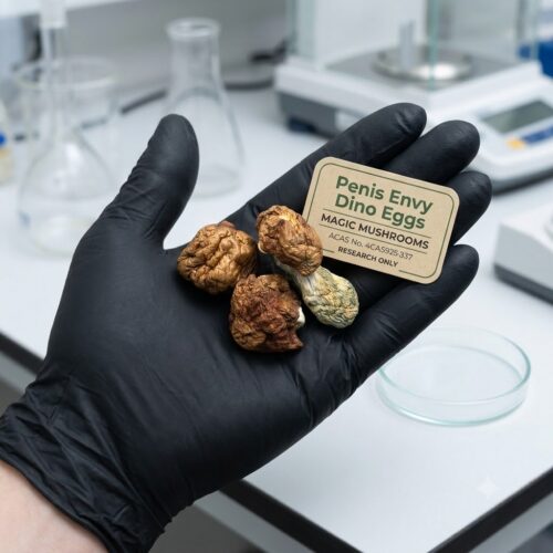 Where do I Buy Penis Envy Dino Eggs Magic Mushrooms Online Europe