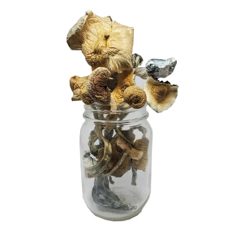 Understanding Psilocybin Clinical Trials and Recent Findings Where to Buy Psychedelic Mushroom Online Poland Discreetly?