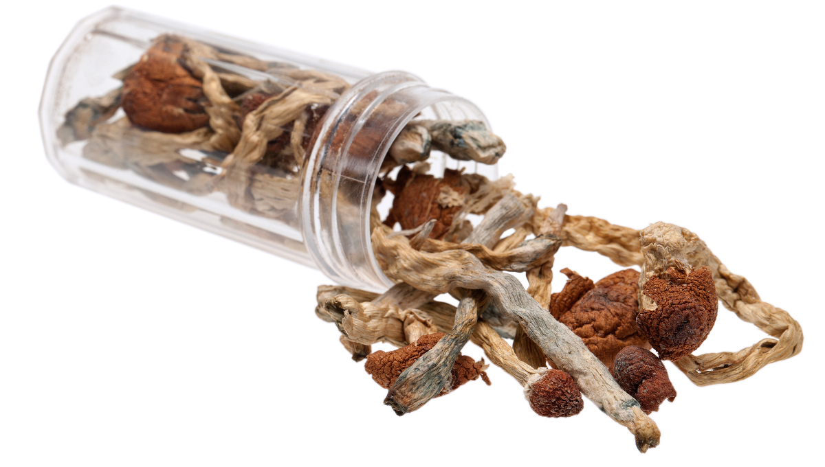 Where Can I Buy Psychedelic Mushroom Online Greece?