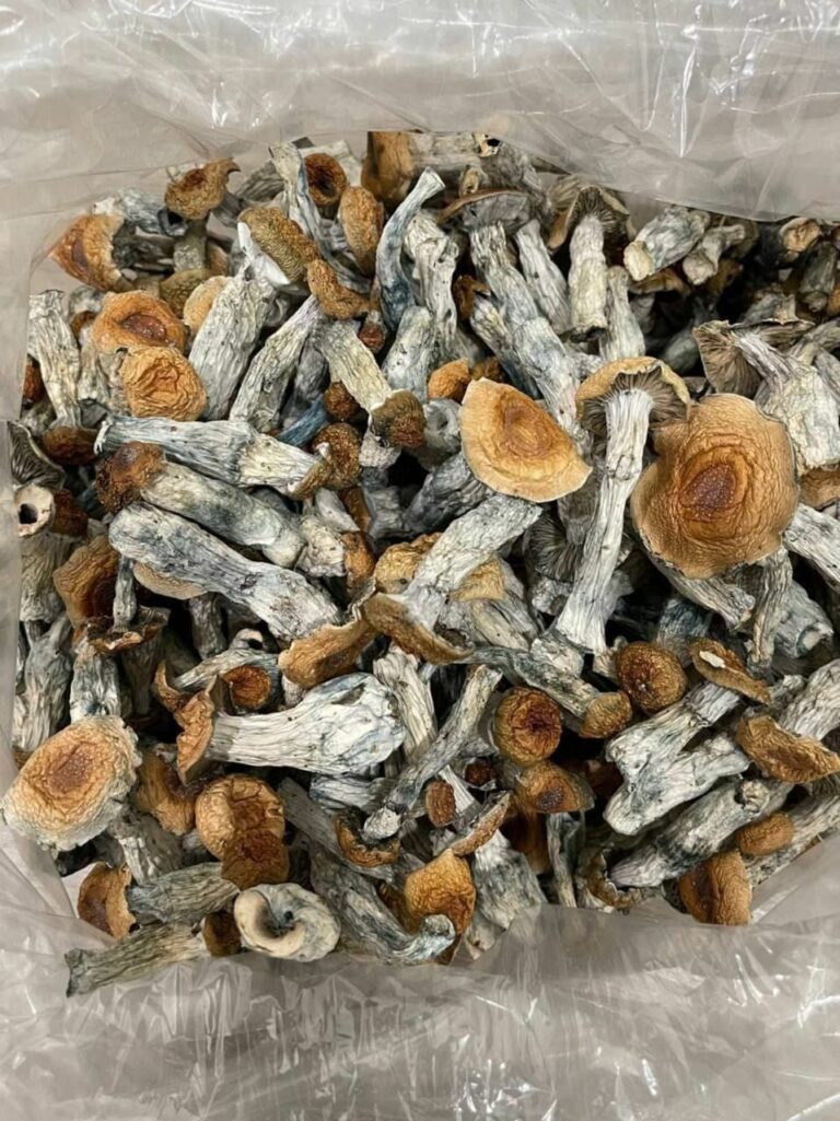 The Future of Psilocybin Research and Mental Health Treatment Where Do I Buy Psychedelic Mushroom Online Romania?