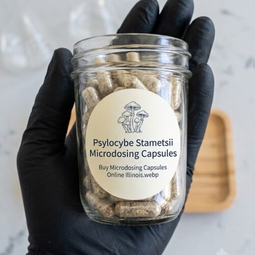Where can I Buy Psilocybe Stametsii Microdosing Capsule Online Europe?